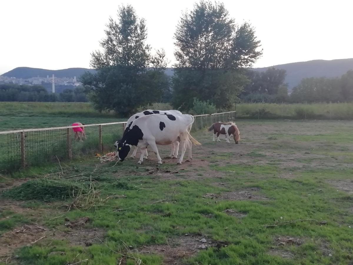 נארני Agriturismo Tenuta Filippi מראה חיצוני תמונה