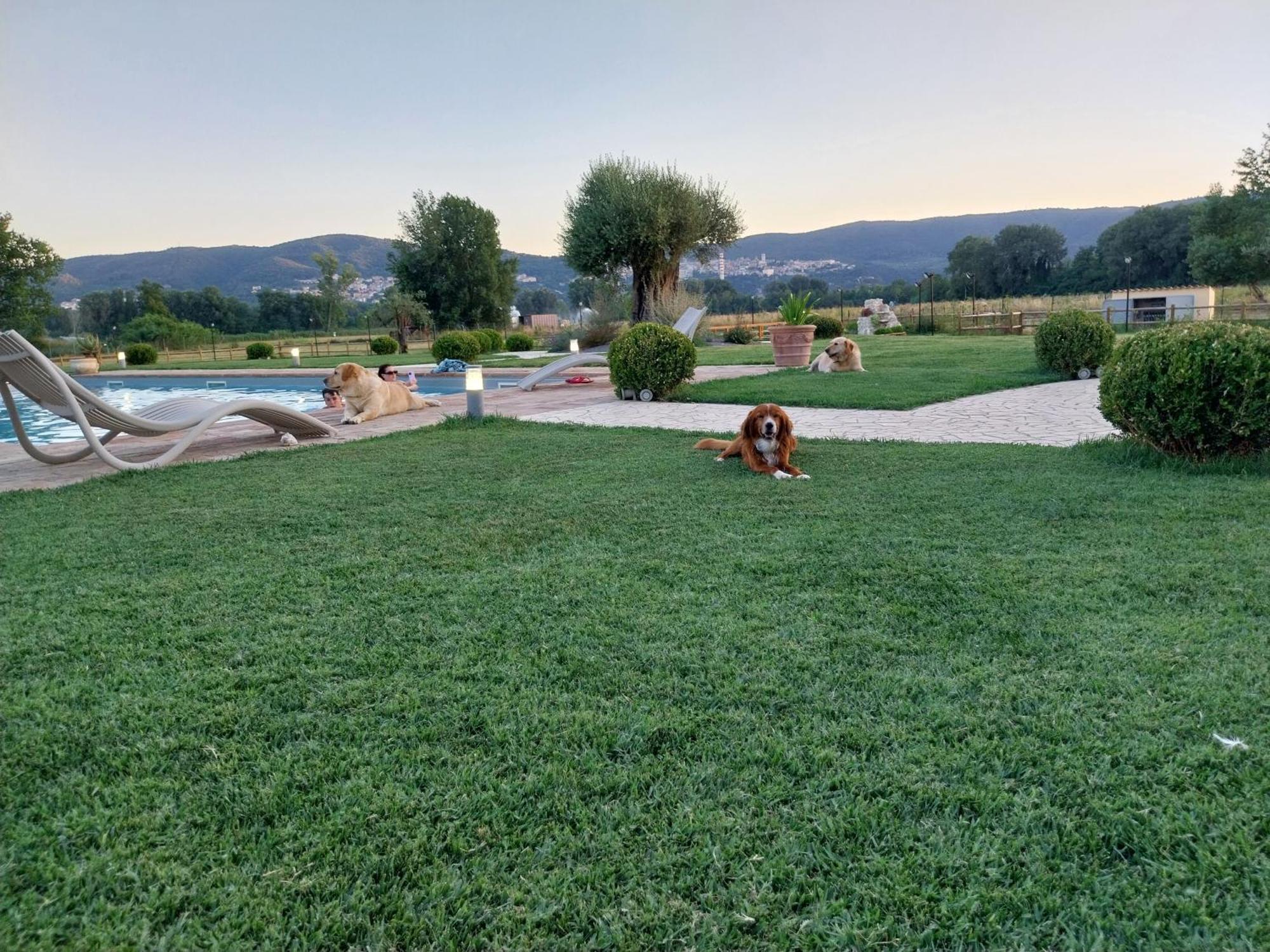 נארני Agriturismo Tenuta Filippi מראה חיצוני תמונה